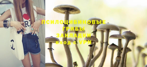 мескалин Переславль-Залесский