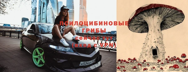 мяу мяу мука Абинск