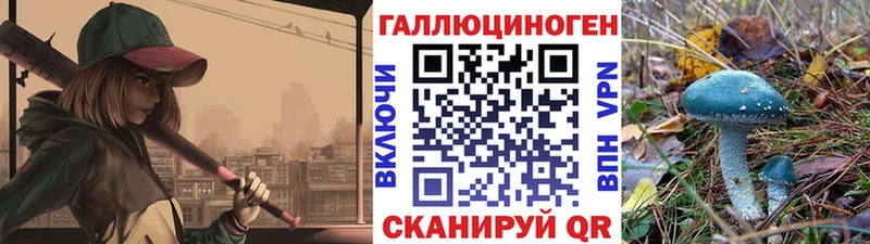 Псилоцибиновые грибы Psilocybine cubensis Ряжск