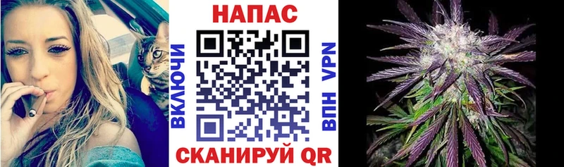 Бошки Шишки VHQ купить закладку Ряжск